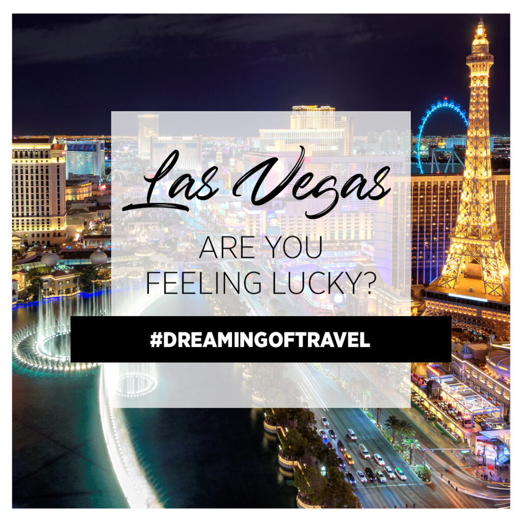 Las Vegas' array of accommodations and amenities offer something for nearly every taste.