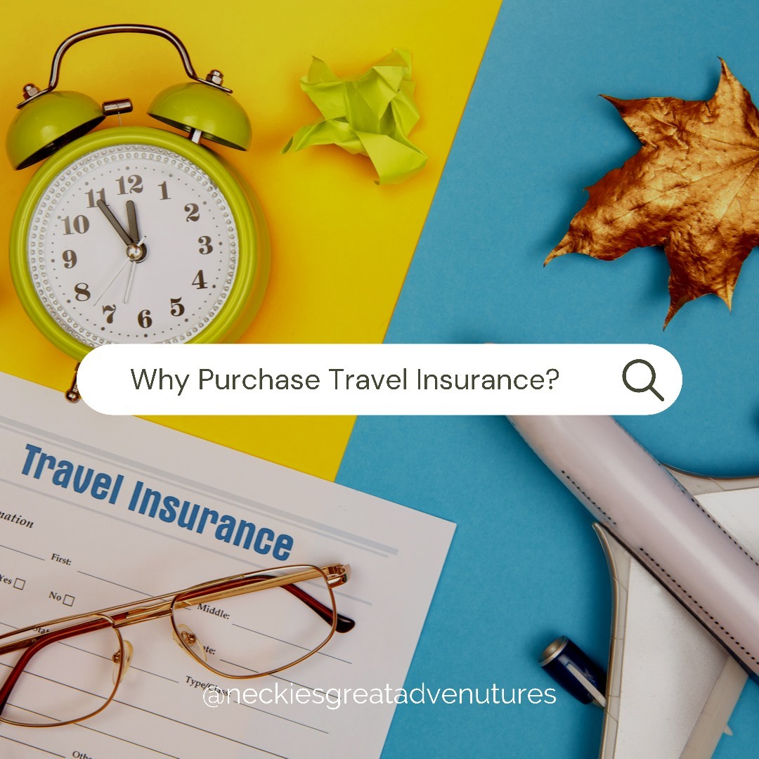 WHY PURCHASE TRAVEL INSURANCE?